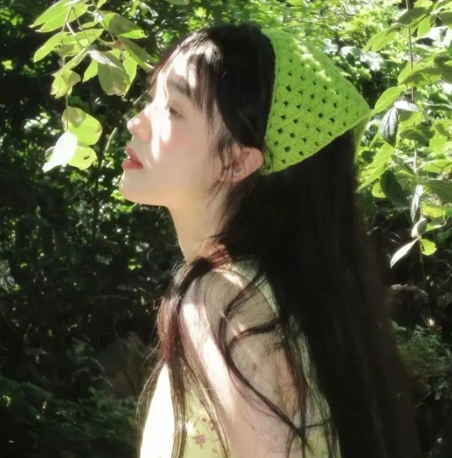 大清后宫